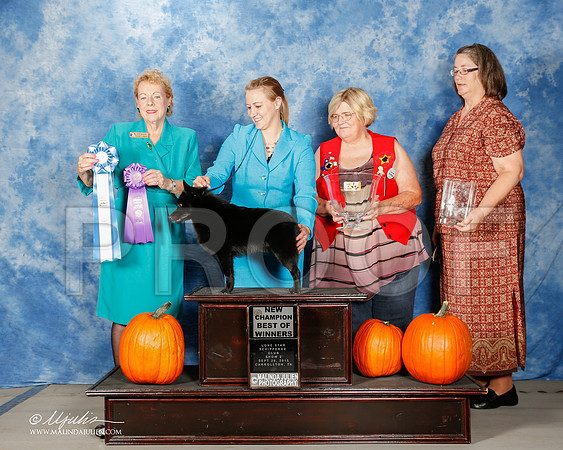 _ST_0828-2-CarltnSchipSept2015-HR3