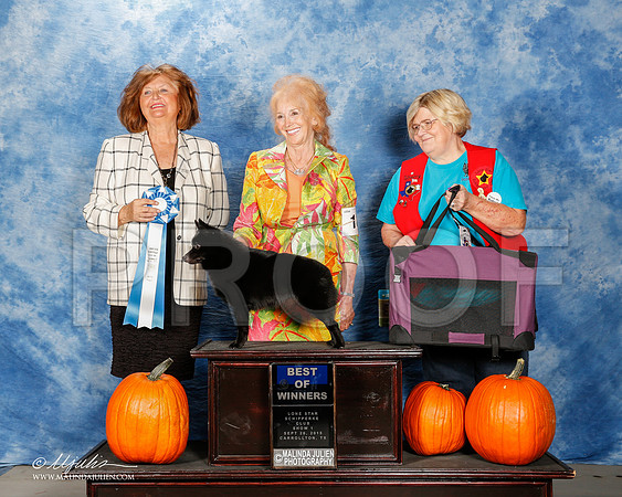 _ST_0762-2-CarltnSchipSept2015-HR3