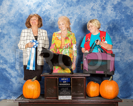 _ST_0762-CarltnSchipSept2015-HR3