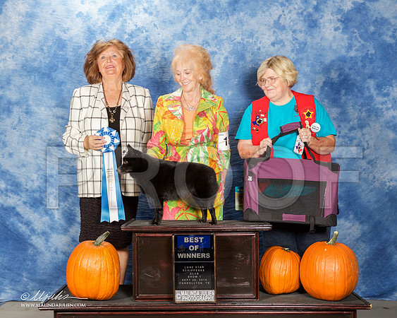 _ST_0764-CarltnSchipSept2015-HR3