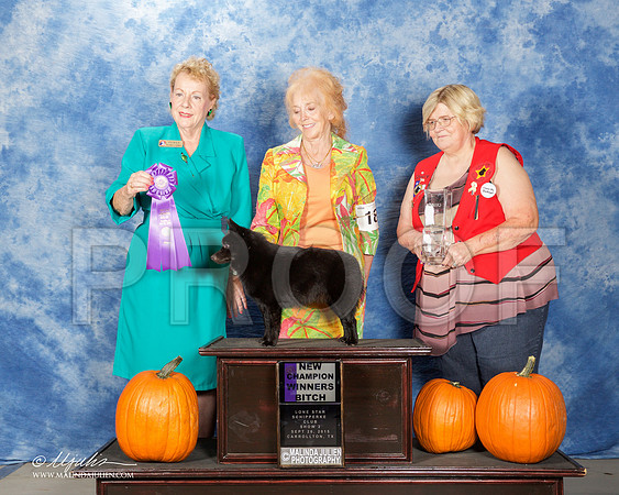 _ST_0815-CarltnSchipSept2015-HR3