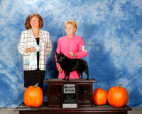 #208 Sat SB Dara Wilcox Judge Janice McClary