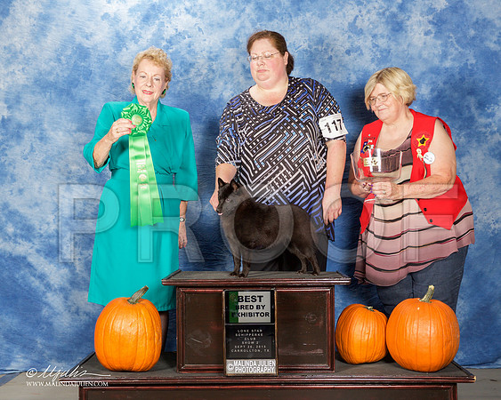 _ST_0825-CarltnSchipSept2015-HR3