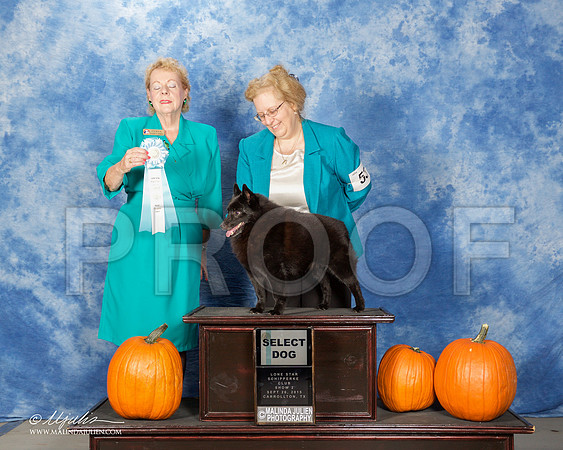_ST_0810-CarltnSchipSept2015-HR3