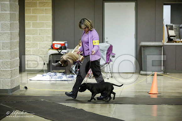 _JJ_6004-BeltonJan2015IABCA-HR3