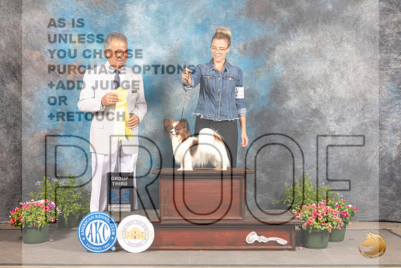 Papillon #28 Fri G3 Judge George Milutinovich_MJ_0008_SA_2022_HR3