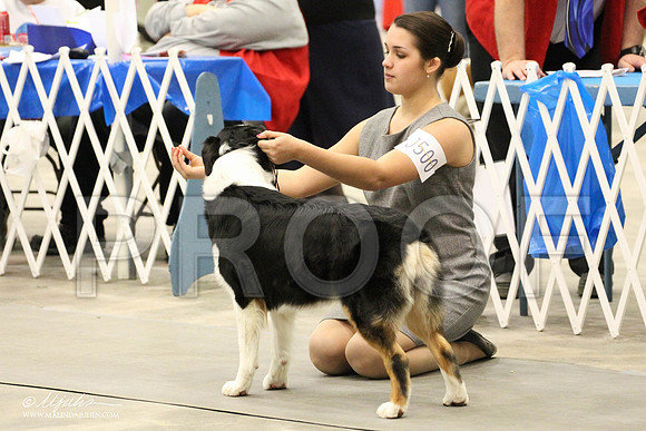 IMG_9209-Abilene2011-HR3