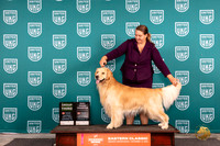 Golden Retriever #192 Sat G3 Judge Kathryn Baxter