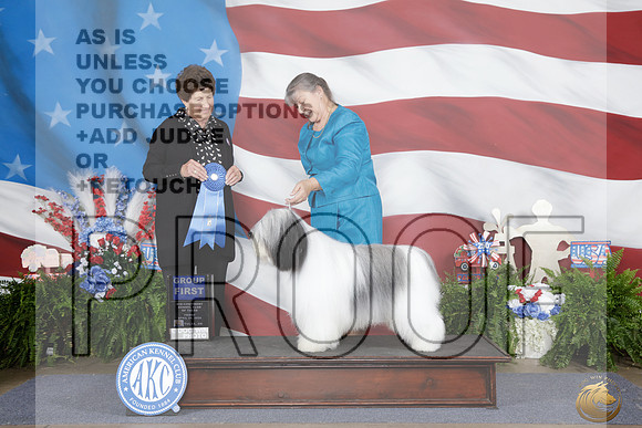 Polish Lowlad Sheepdog #11 Fri G1 Judge Ann Yuhasz_WP_0625e_ Tulsa 2026