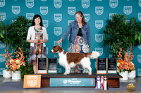 Beth DeVries UKC Premier 2026