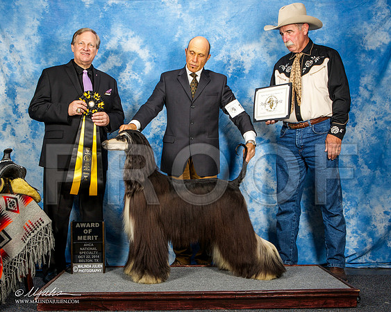 _ST_4579-AfgBeltonOct2014-HR3