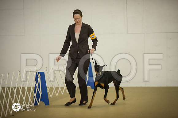 Dobe-7454-HtoJan14-HR