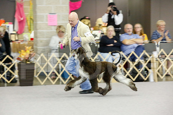 _JJ_0092-AfgBeltonOct2014-HR3