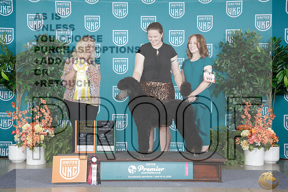Poodle Standard #959 SAt Alt G4 TD Judge Penni Jackson_WP_8591e_UKC Premier 2026