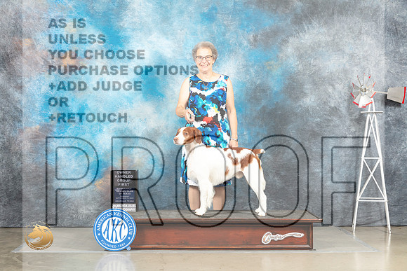 Brittany #5 Thur OHG1 Judge Alfred Ferruggiaro rr_MJ_4623_Amarillo_2022_HR3