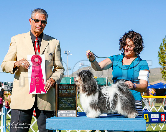 _ST_3309-2-AlamogordoOct2014-HR3