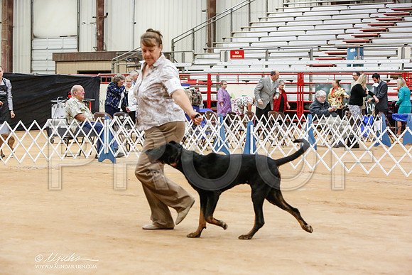 _JN_6275-TxArJun2014-HR3