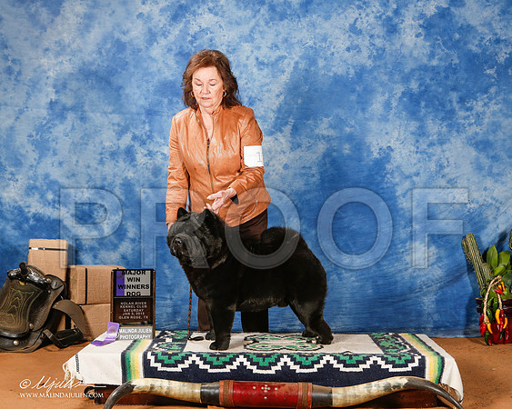 _ST_1298-2-GlenRoseJan2015-HR3
