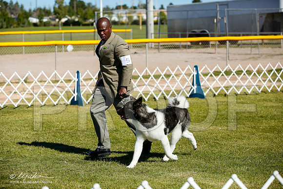 _JJ_9847-AlamogordoOct2014-HR3