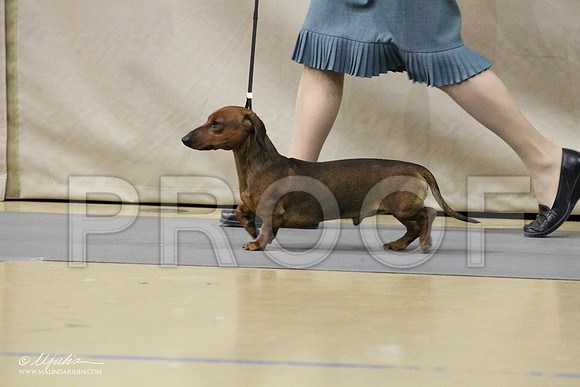 DachS-7692LR