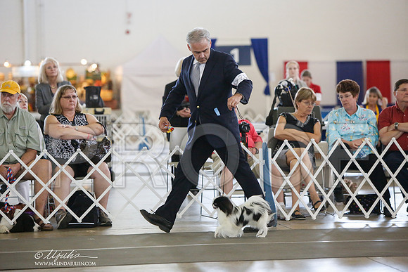 _JJ_3275-DallasJul2014-HR3