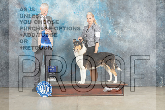 Collie Rough #5 Sun G1 Judge Jon Cole_MJ_2889_Midland2023_HR3