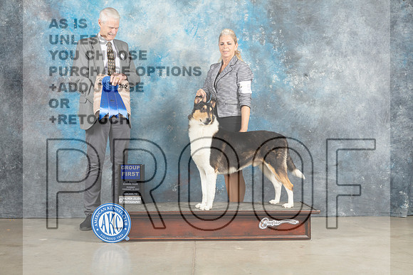 Collie Rough #5 Sun G1 Judge Jon Cole_MJ_2896_Midland2023_HR3