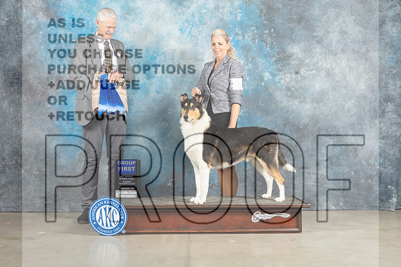 Collie Rough #5 Sun G1 Judge Jon Cole_MJ_2890_Midland2023_HR3