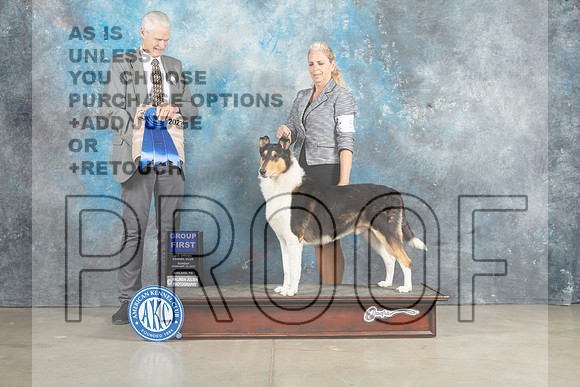 Collie Rough #5 Sun G1 Judge Jon Cole_MJ_2893_Midland2023_HR3