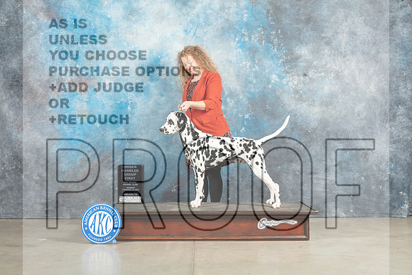 Dalmatian #7 Sun OHG1 Judge Elizabeth Muthard_MJ_2993_Midland2023_HR3