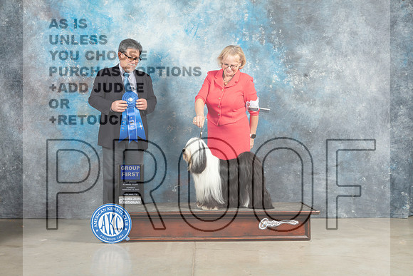 Tibetan Terrier #6 Sun G1 Judge Elizardo Valadez_MJ_2945_Midland2023_HR3