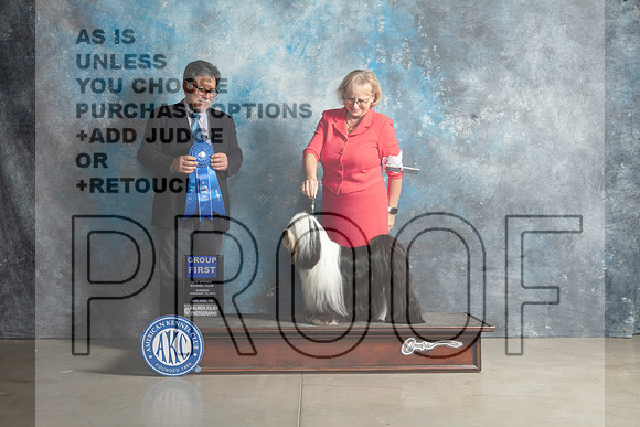 Tibetan Terrier #6 Sun G1 Judge Elizardo Valadez_MJ_2942_Midland2023_HR3