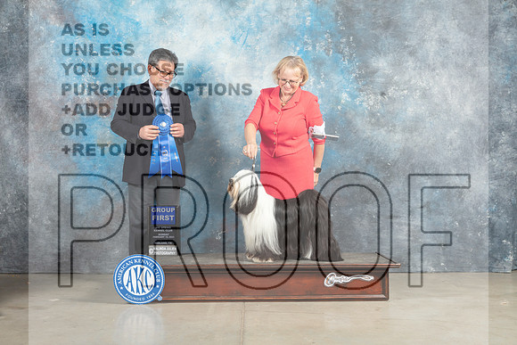 Tibetan Terrier #6 Sun G1 Judge Elizardo Valadez_MJ_2943_Midland2023_HR3