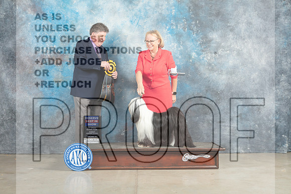 Tibetan Terrier #6 Sun RBIS Judge Charles Olvis_MJ_2932_Midland2023_HR3