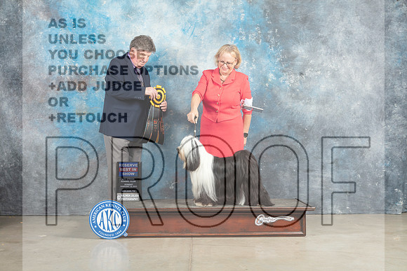 Tibetan Terrier #6 Sun RBIS Judge Charles Olvis_MJ_2935_Midland2023_HR3