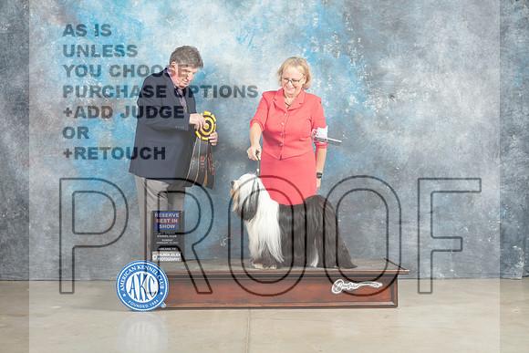 Tibetan Terrier #6 Sun RBIS Judge Charles Olvis_MJ_2934_Midland2023_HR3