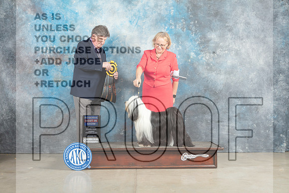 Tibetan Terrier #6 Sun RBIS Judge Charles Olvis_MJ_2937_Midland2023_HR3