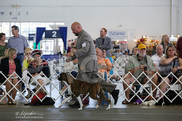 _JJ_1769-DallasJul2014-HR3