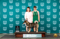 Shikoku #693 Sat BOB Judge Deb Allen