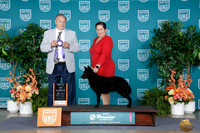 Elizabeth Shea Brooks UKC Premier 2026