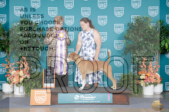 Mountian Curr #115 Su BIS Judge Kathy Russell_WP_9731e_UKC Premier 2026