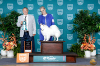 Andrea Schokker UKC Premier 2026