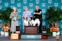 Carol Lauren-Schmidt UKC Premier 2026