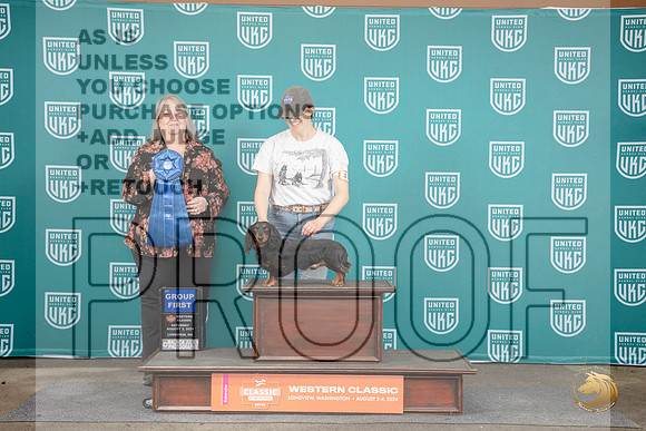 Dachshund #119 Fri G1 Total Dog Judge Kathrine Short Judge Kevin Carroll Sat G1 Judge Malinda Julien __JP_1445_Longview WA_2024_HR3