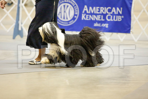 _JJ_8176-AmarilloSept2014-HR3