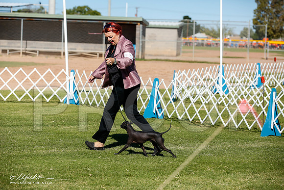 _JJ_6904-AlamogordoOct2014-HR3