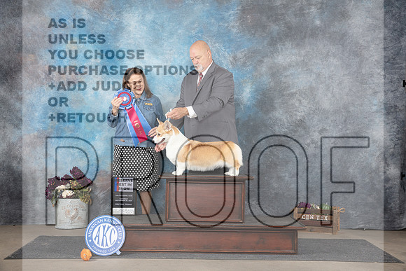 Pembroke Welsh Corgi #6 RBIS Judge Joan Liebes__JP_7520_Belton_2024_HR3