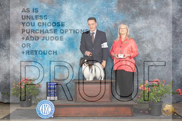 Papillon #23 Sun G1 Judge Polly Smith__JP_6427_San Antonio_2024_HR3