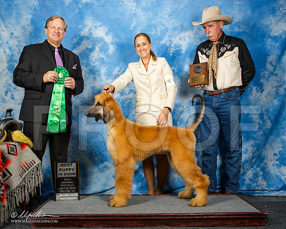 _ST_4588-AfgBeltonOct2014-HR3