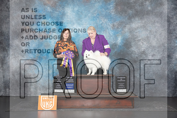 American Eskimo #200 Sun RBIS Judge Sandra Phillips__JP_1516_UKCLNGVIEWOCT2024_2024_HR3